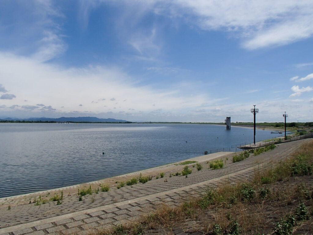 渡良瀬遊水地